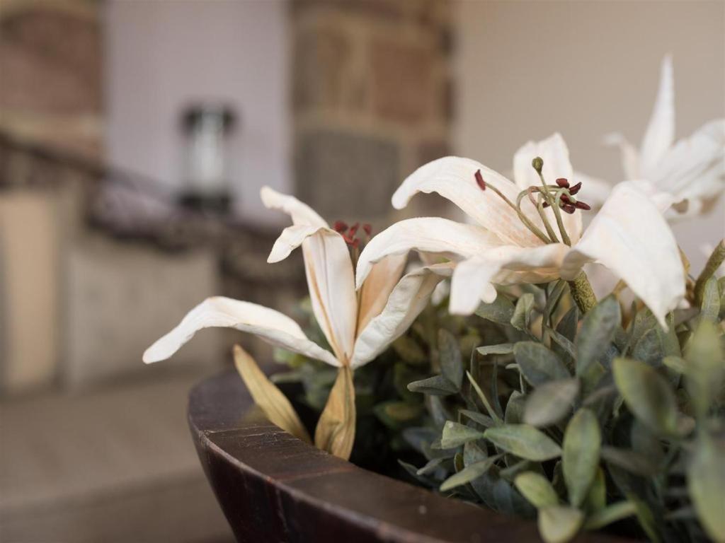 Aparthotel Moongarden Mythimna Zewnętrze zdjęcie